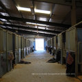 Prefabricated steel horse shed agricultural building
